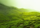 Monsoon Magic 2026: India's Trending Rainy Escapes & Must-Know Safety Hacks for an Unforgettable Adventure