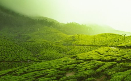 Monsoon Magic 2026: India's Trending Rainy Escapes & Must-Know Safety Hacks for an Unforgettable Adventure