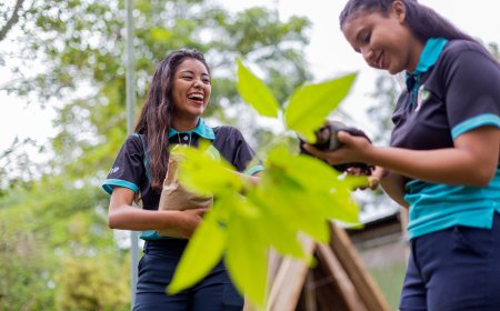 Eco-Anxiety 2026: Coping Tips for Climate Change Anxiety Trending Worldwide