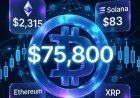 Bitcoin & Altcoins Price Action: Bulls Eye Recovery as Market Cap Hovers at $2.5T