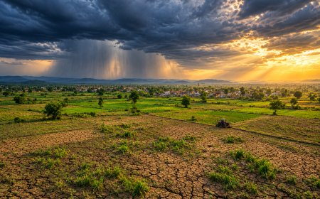 India Monsoon 2026 Crisis Deepens: Below-Average September Rainfall Sparks Major Agricultural Worries
