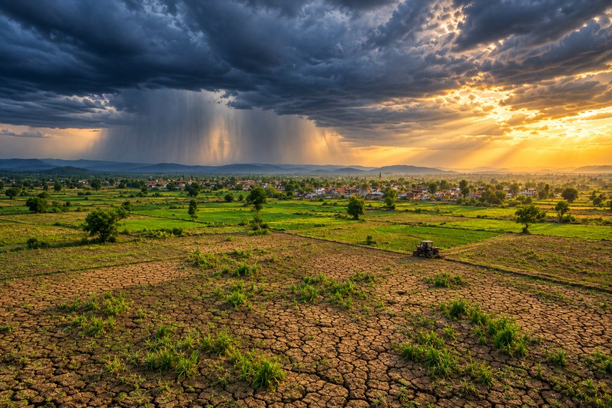 India Monsoon 2026 Crisis Deepens: Below-Average September Rainfall Sparks Major Agricultural Worries